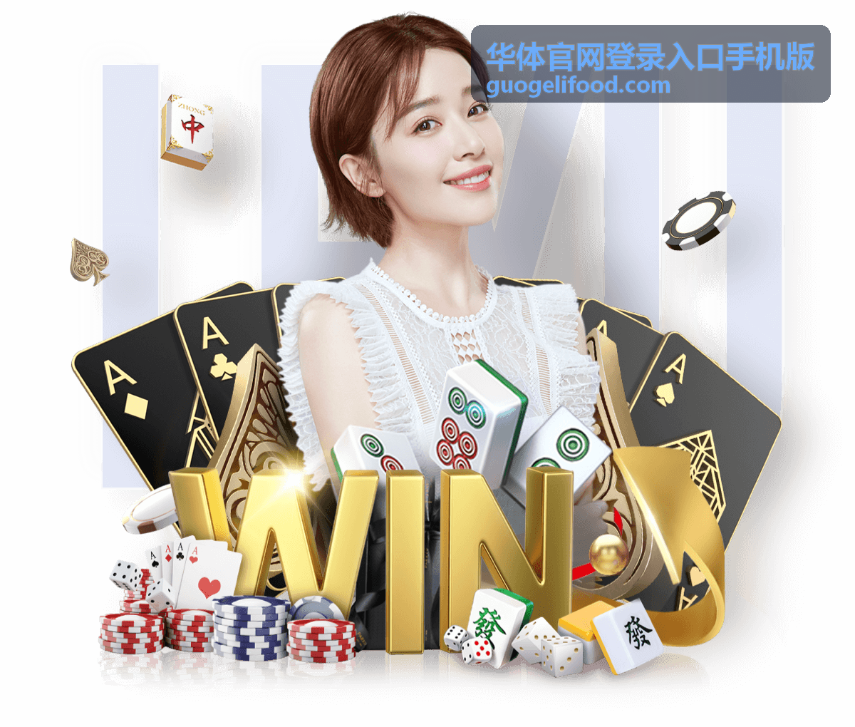 华体官网登录入口手机版账号登录与验证界面示意