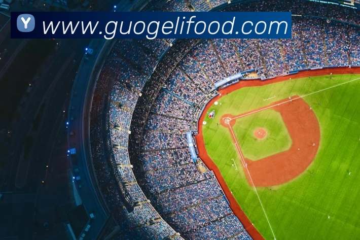 登录器 登录器